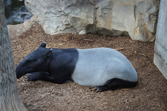 網路圖文分享夯!誰是你心中的人氣插畫家_img_2