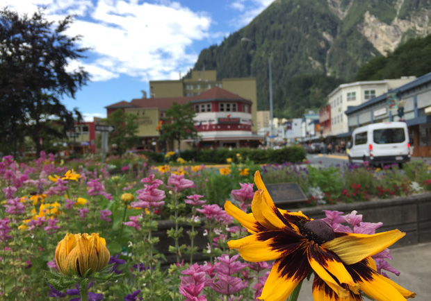 美國面積最大卻最孤立的首府 - 朱諾_img_2