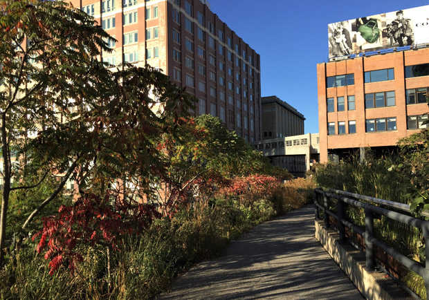 廢物利用新極致 ─ 高架橋變公園_img_10