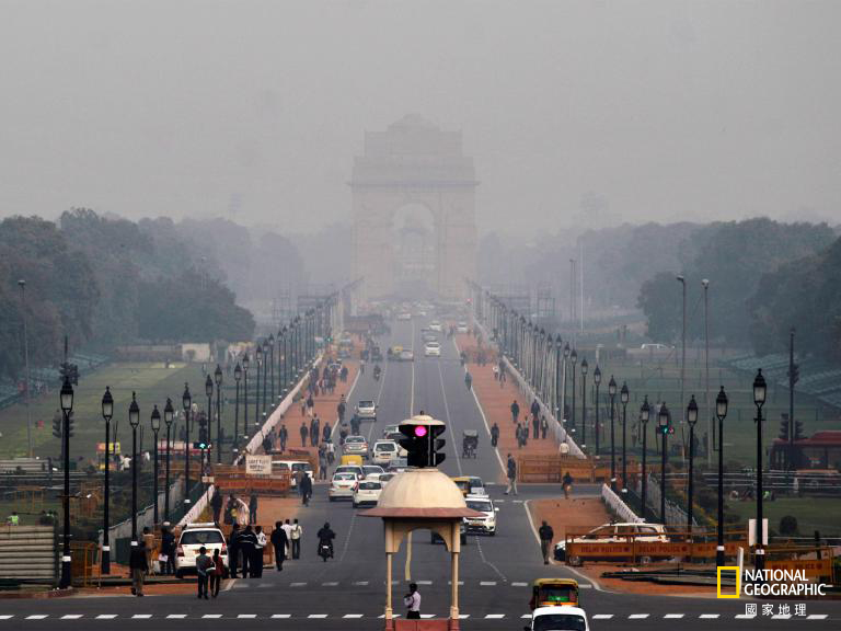 居家植物可淨化霧霾？_img_1