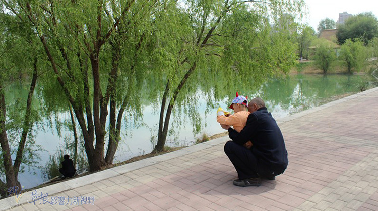 銀川，向湖而生_img_1