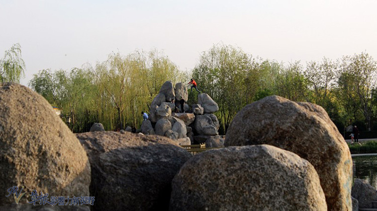 銀川，向湖而生_img_7