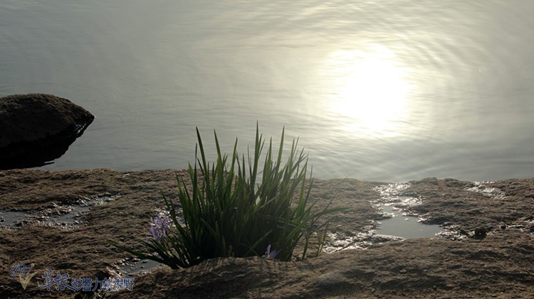 銀川，向湖而生_img_8