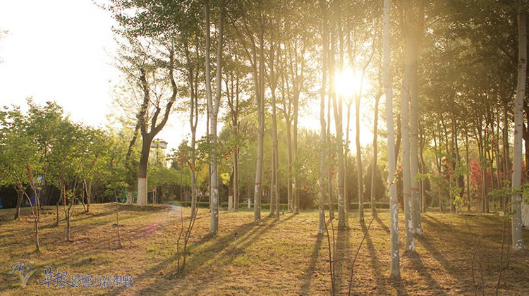 銀川，向湖而生_img_9