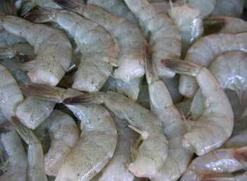 越野越好味 你沒聽過的加拿大奇珍異饈_img_1