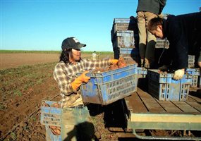 討論熱度最夯的打工度假點是？澳洲竟不是第一名！_img_8