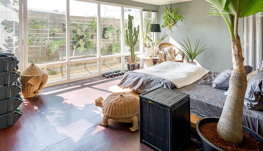 植物就是最好的家飾品！入住大自然 由極簡到綠意盎然_img_10