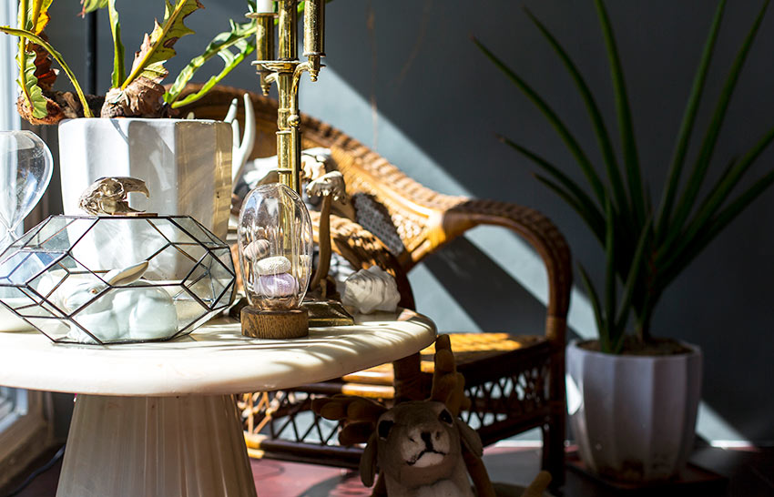 植物就是最好的家飾品！入住大自然 由極簡到綠意盎然_img_12