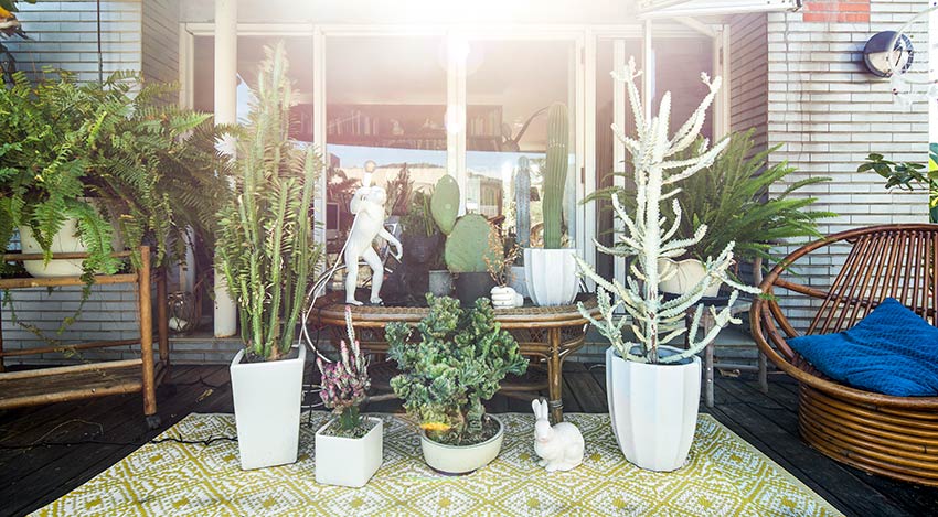 植物就是最好的家飾品！入住大自然 由極簡到綠意盎然_img_15