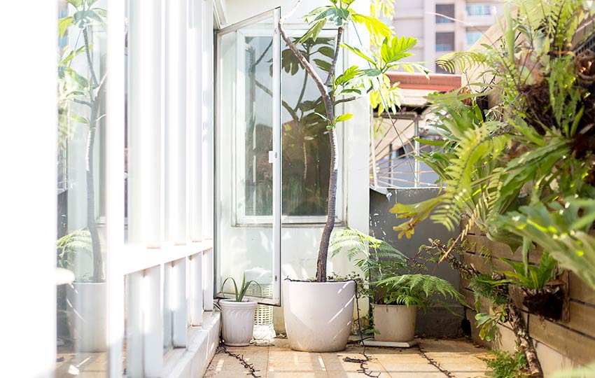 植物就是最好的家飾品！入住大自然 由極簡到綠意盎然_img_16