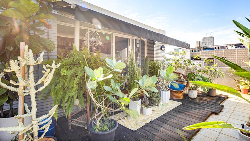 植物就是最好的家飾品！入住大自然 由極簡到綠意盎然_img_2