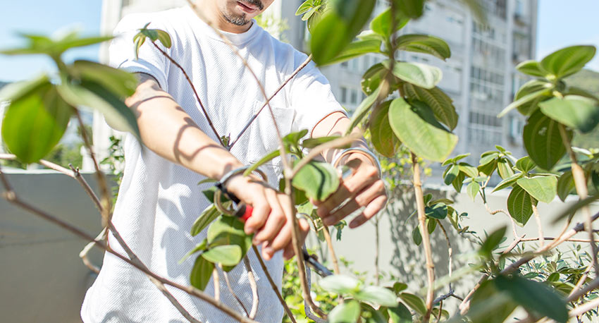 植物就是最好的家飾品！入住大自然 由極簡到綠意盎然_img_5