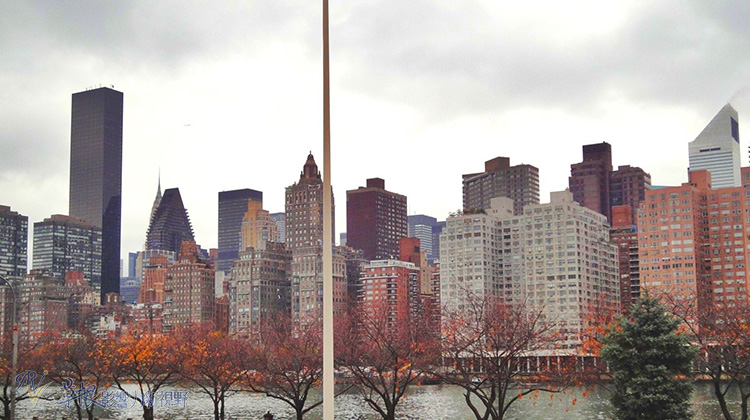 了解紐約客的美麗與哀愁_img_10