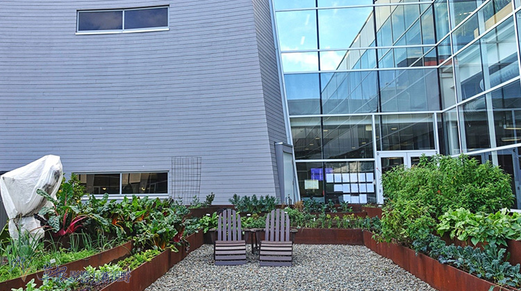 矽谷的工作樂園:前進谷歌Google_img_11