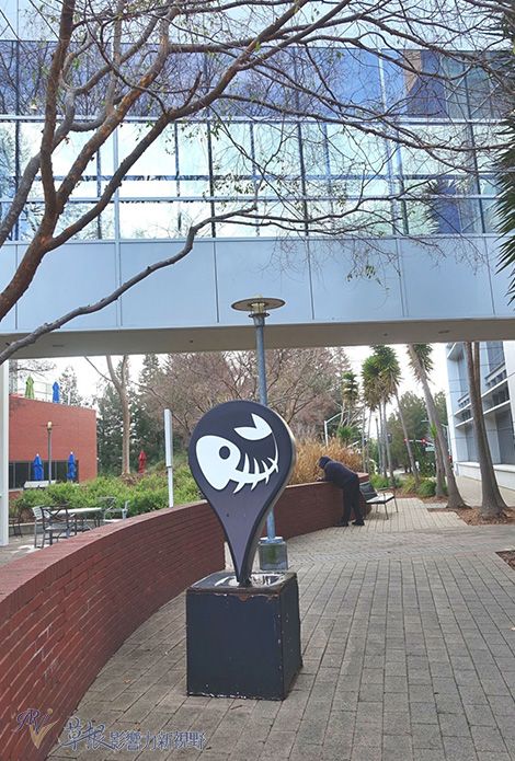 矽谷的工作樂園:前進谷歌Google_img_8