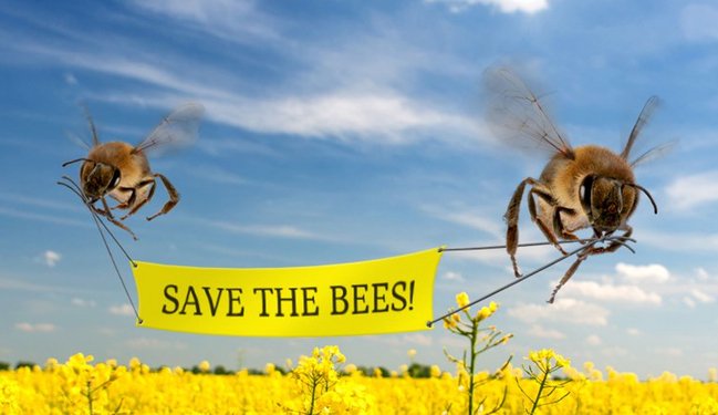 「蜜蜂女孩」4歲創業、10歲拿到百萬美金的投資！_img_1