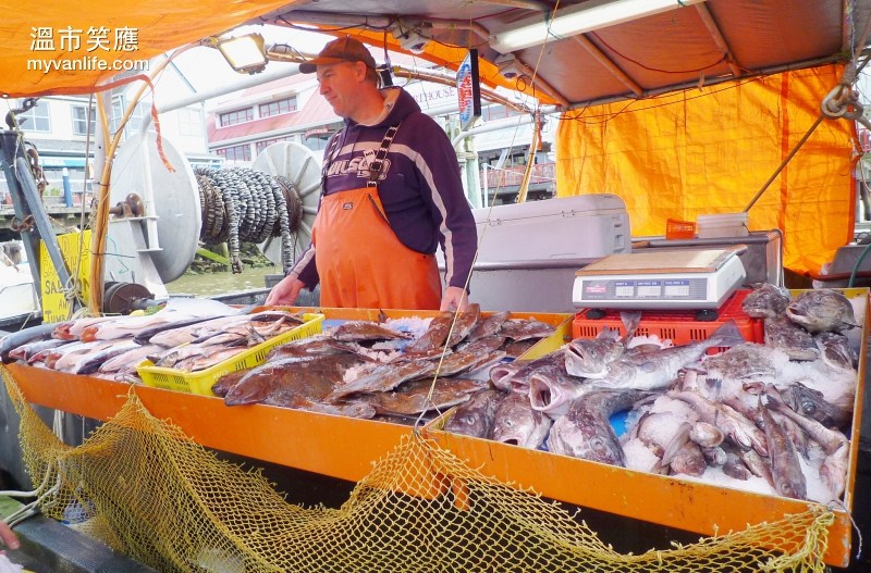 城市周遊專車跳上又跳下 列治文看透透_img_10
