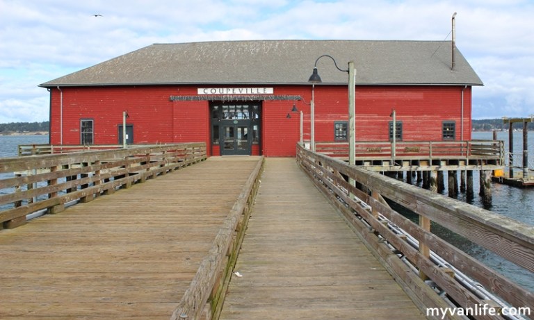 海灣邊的鮮甜海風 我在西雅圖潘灣淡菜節_img_14