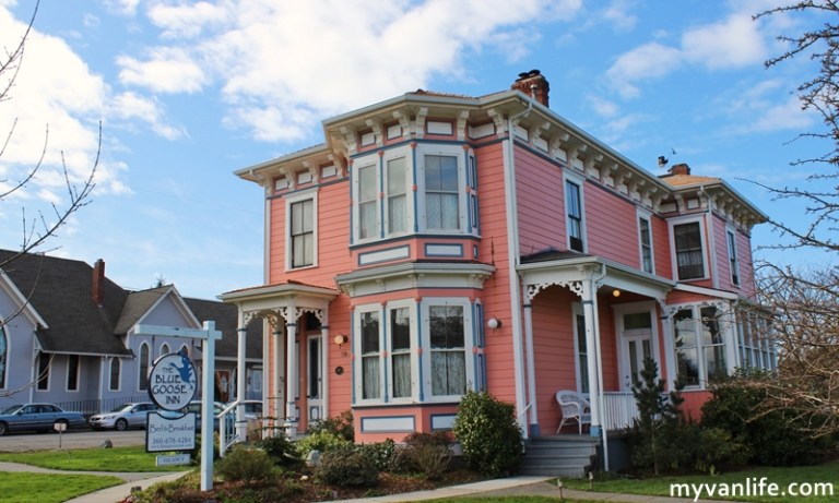 海灣邊的鮮甜海風 我在西雅圖潘灣淡菜節_img_10