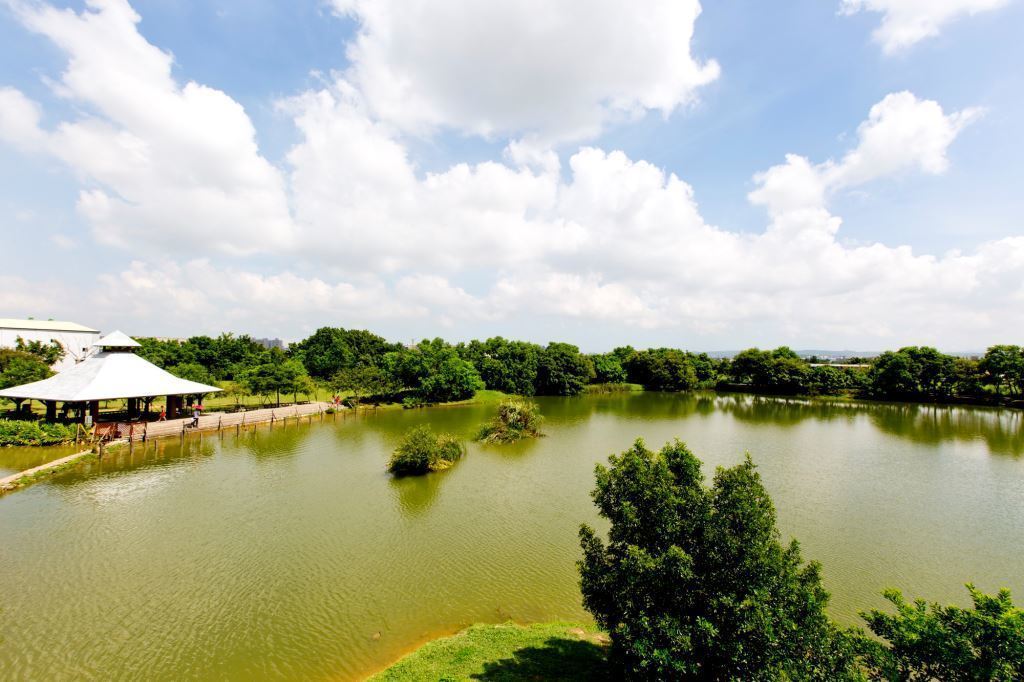 桃園「千塘之鄉」 齊柏林曾說：「好像水晶在發光」_img_13