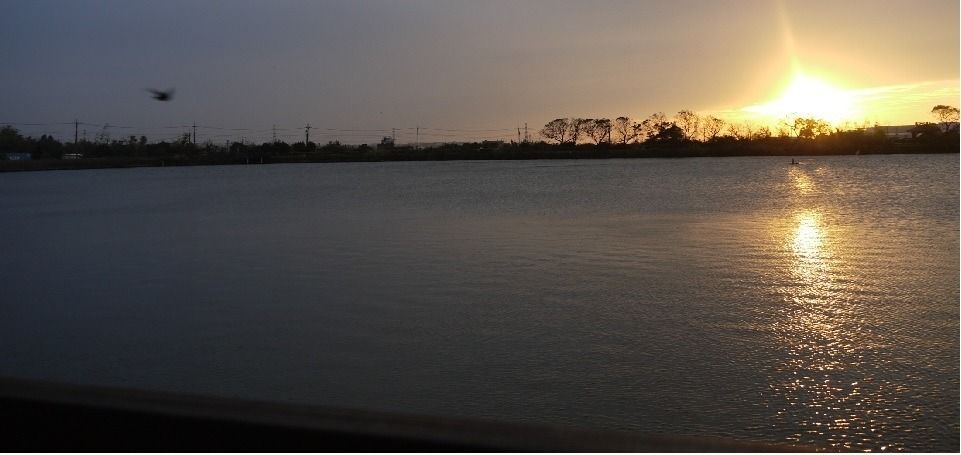 桃園「千塘之鄉」 齊柏林曾說：「好像水晶在發光」_img_1