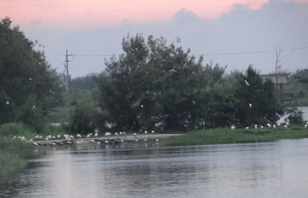 第二座日月潭即將在雲林誕生!_img_2