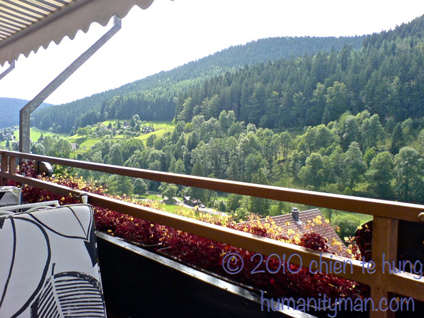 黑森林成了身心靈休養勝地_img_1