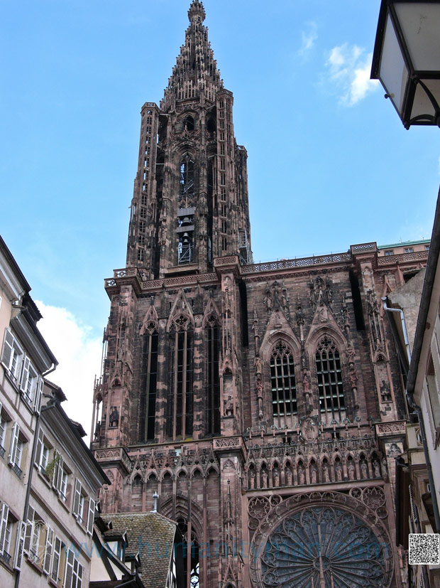 黑森林成了身心靈休養勝地_img_2