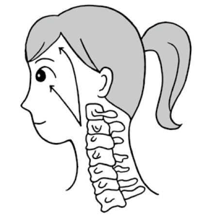 讓眼部、頸部和腦部血液循環好轉的「改善視力健康操」_img_1