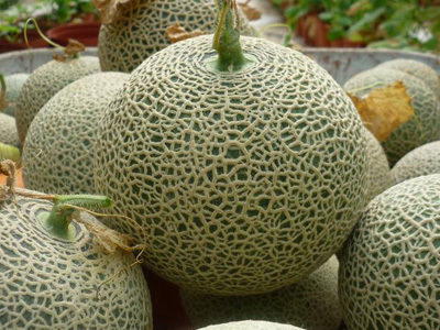 洋香瓜甜軟多汁,夏天最是物美價廉_img_2