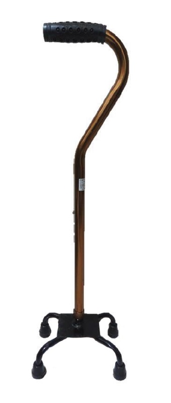 行動輔具的選擇與應用:扶手、拐杖_img_6