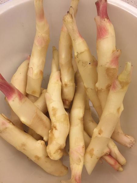 提升代謝、改善末梢血液循環:梅子醃嫩薑_img_1