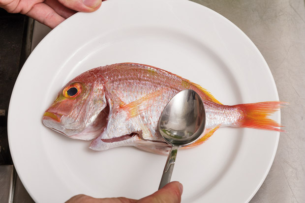 祕訣公開!譚敦慈、陳之穎教你安心準備每一餐_img_5