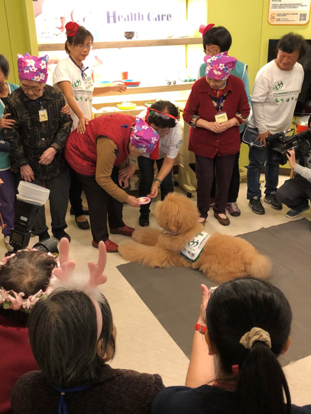 動物輔助的治療,預防延緩失智有成效_img_2