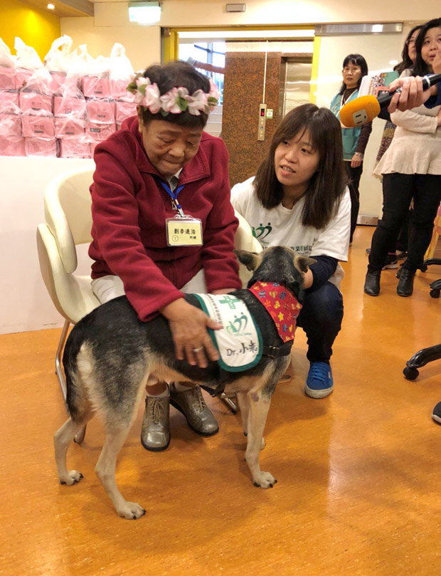 動物輔助的治療,預防延緩失智有成效_img_3