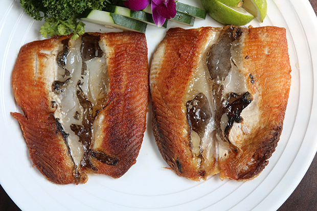 想要耳聰目明,吃魚就對了!_img_1