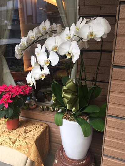 沒有血緣關係,但我們在人生路上互相陪伴_img_1