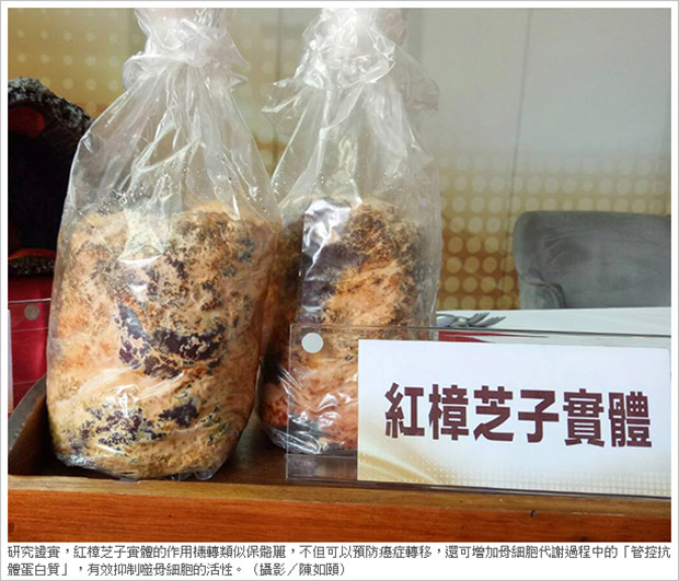 骨鬆帶來致命危機!骨本存好存滿老了才夠用_img_2