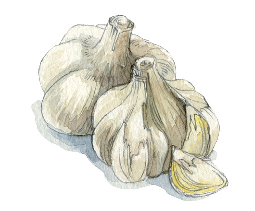 清明:注意腸胃問題、養肝正是時候_img_3