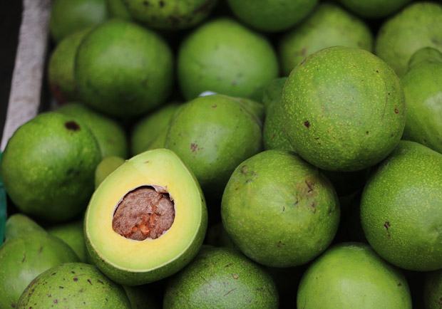 想增肌減脂,不想吃肉的你該怎麼補充蛋白質?_img_2