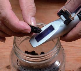 自製美顏抗老釀造醋:桑椹醋_img_2