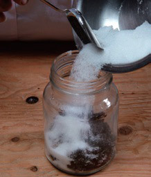 自製美顏抗老釀造醋:桑椹醋_img_3