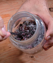 自製美顏抗老釀造醋:桑椹醋_img_4