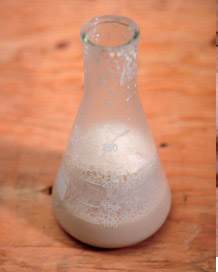 自製美顏抗老釀造醋:桑椹醋_img_5