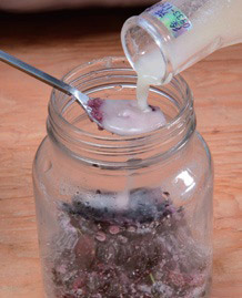 自製美顏抗老釀造醋:桑椹醋_img_6