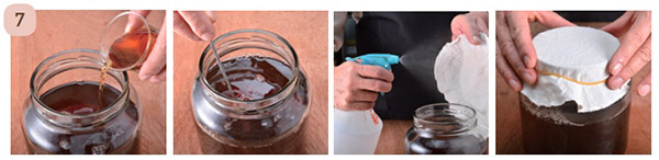 自製美顏抗老釀造醋:桑椹醋_img_11