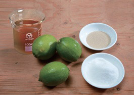 一步步成功釀醋:自製檸檬醋_img_1