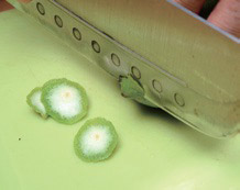 一步步成功釀醋:自製檸檬醋_img_2