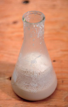 一步步成功釀醋:自製檸檬醋_img_7