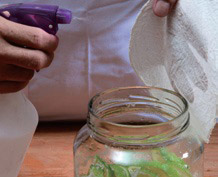 一步步成功釀醋:自製檸檬醋_img_9